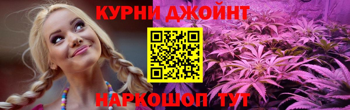 Галлюциногенные грибы Александров
